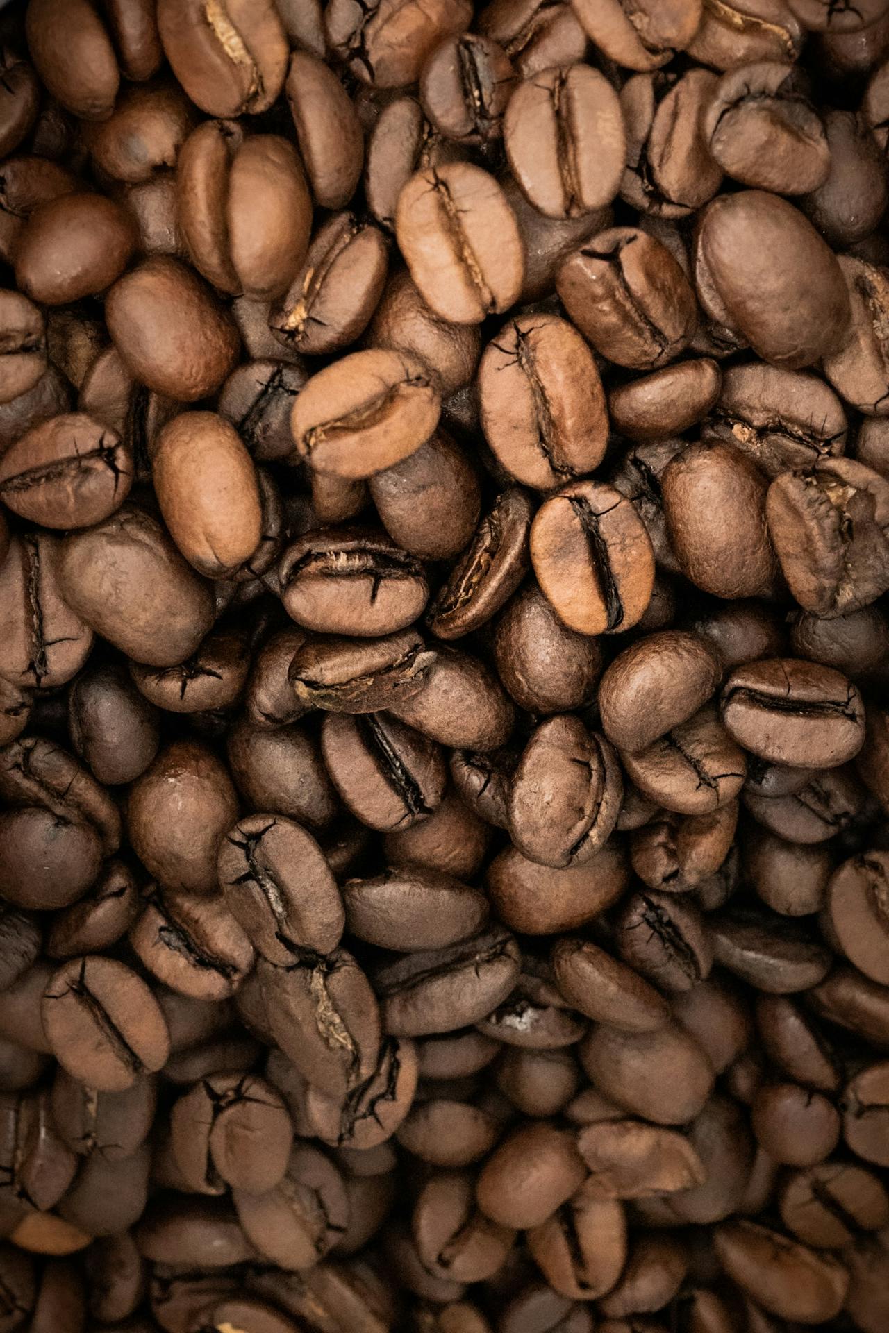 Arabica Roasted