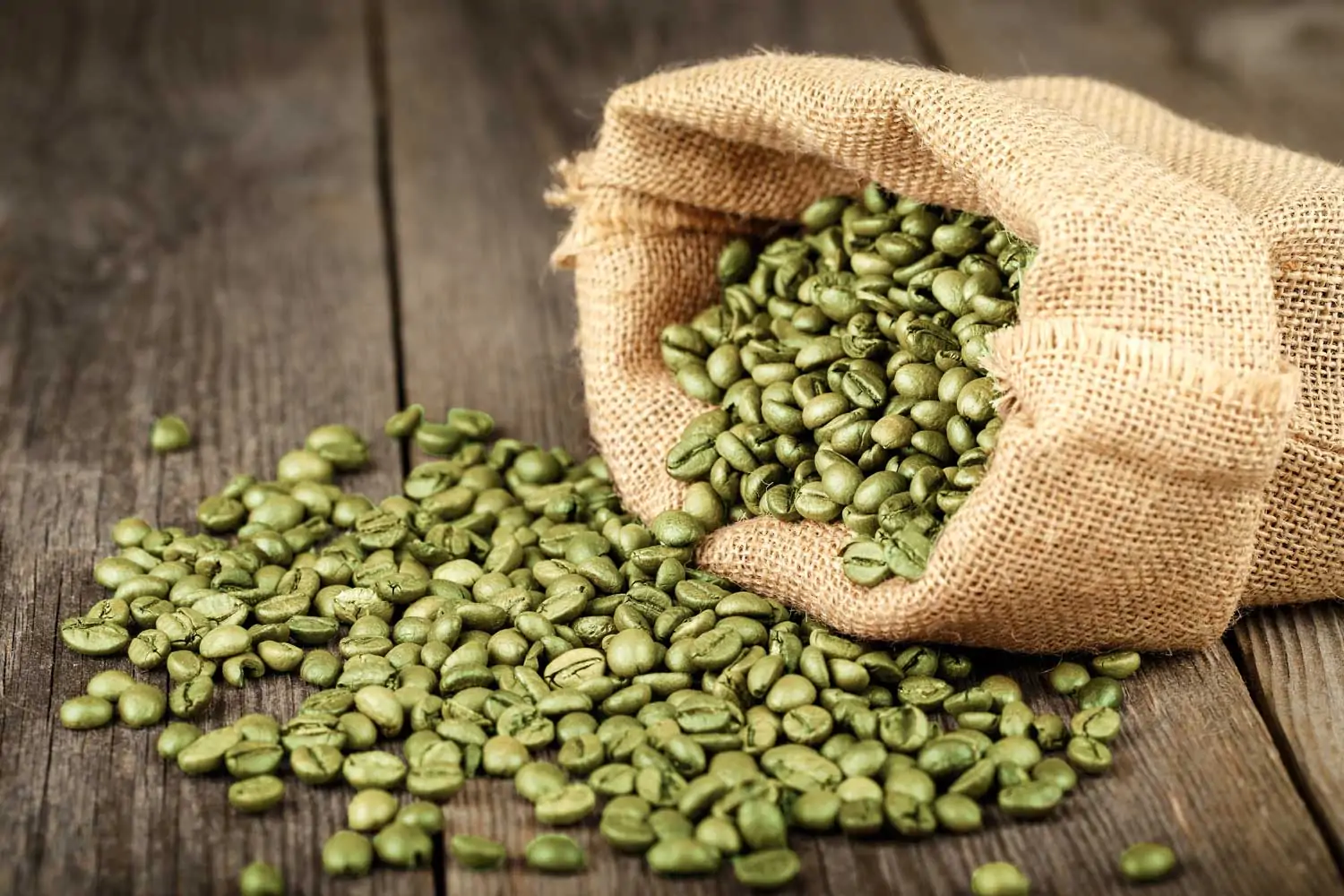 Premium green coffee beans ready for export